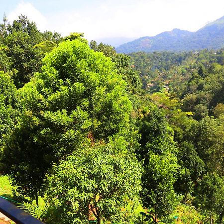 Green Magic Riverside Resort Munnar Luaran gambar