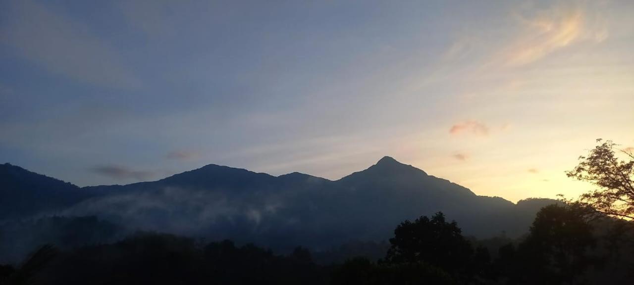 Green Magic Riverside Resort Munnar Luaran gambar