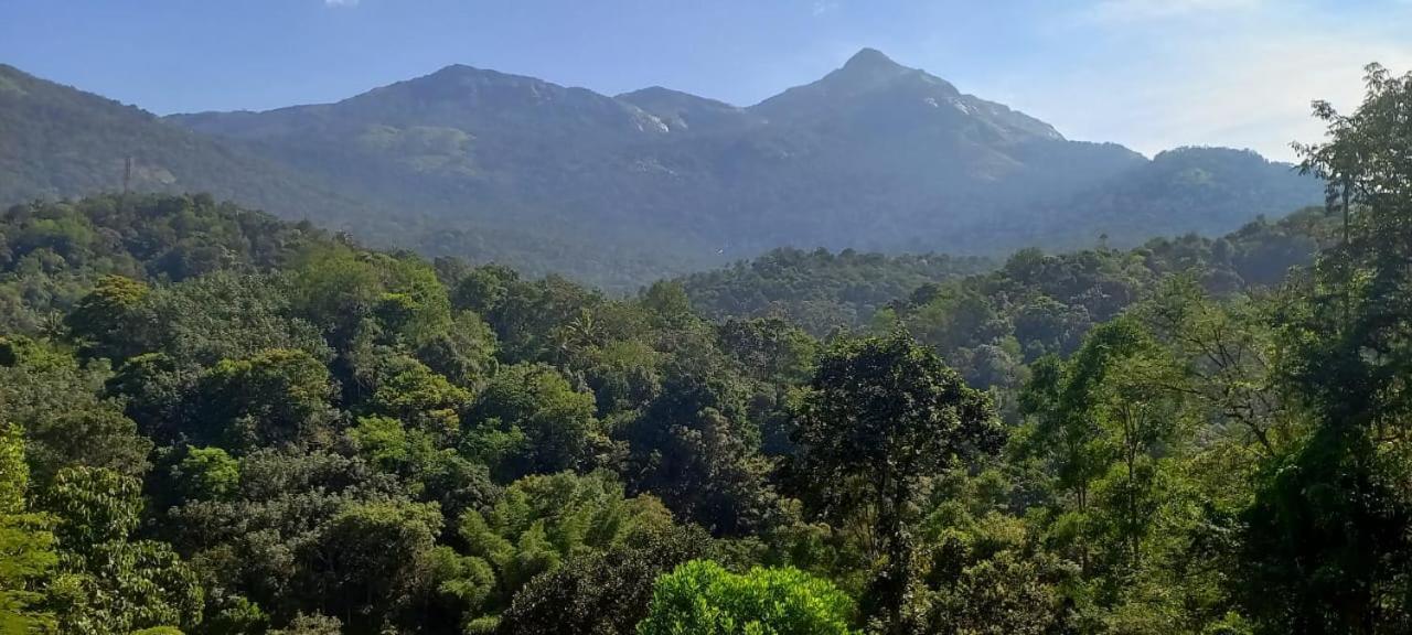 Green Magic Riverside Resort Munnar Luaran gambar