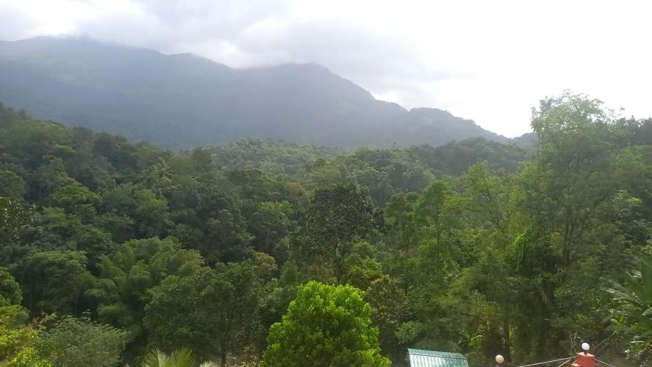 Green Magic Riverside Resort Munnar Luaran gambar