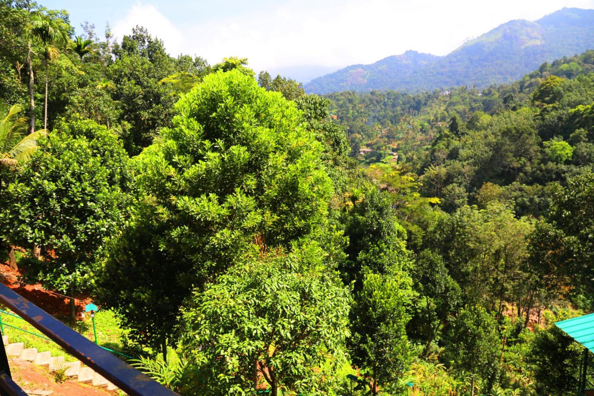 Green Magic Riverside Resort Munnar Luaran gambar