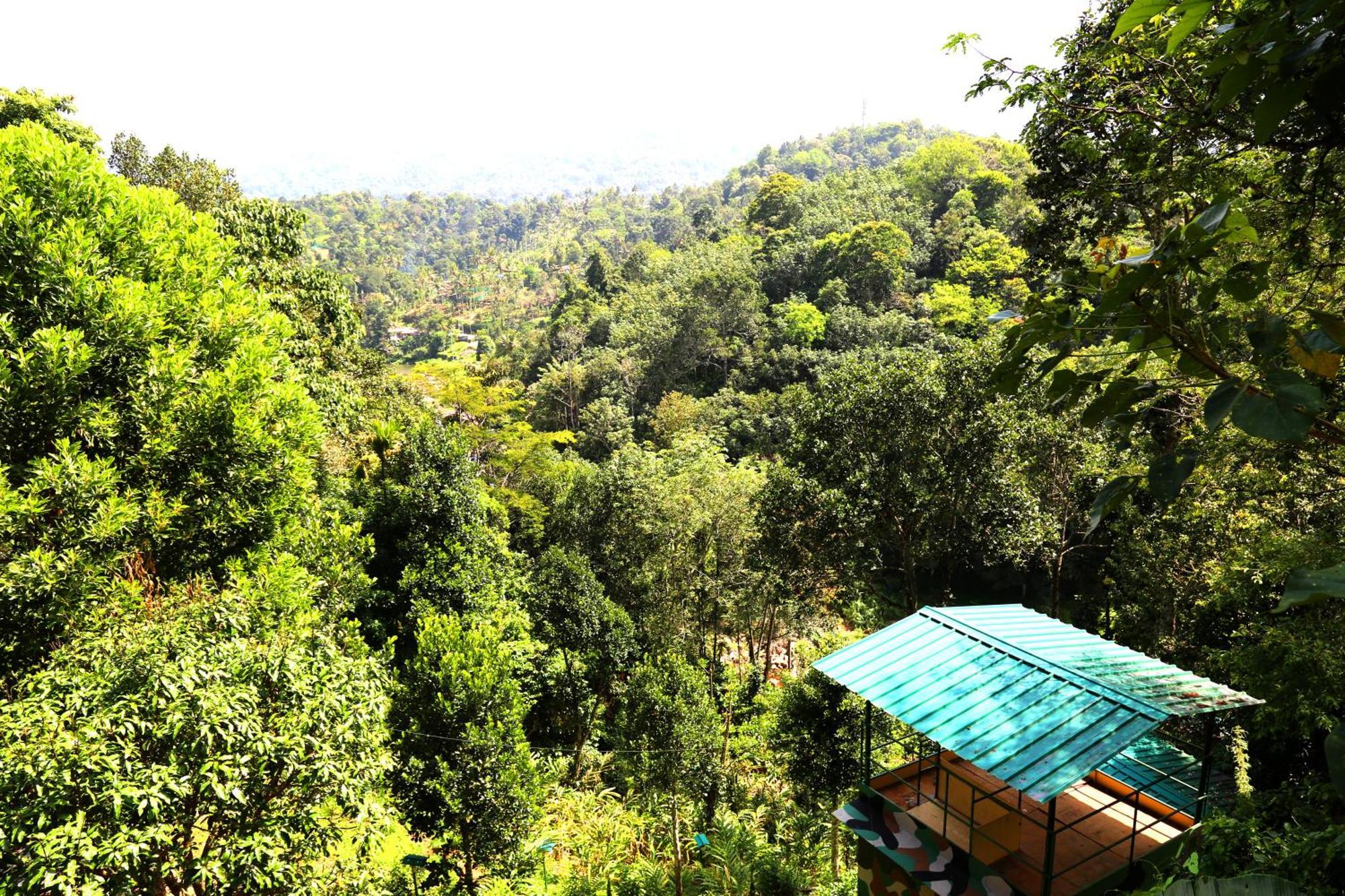 Green Magic Riverside Resort Munnar Luaran gambar